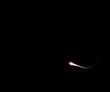 lightning 66