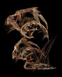 iterative flame fractal