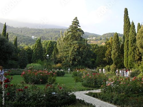 botanic garden in yalta botanic garden in yalta