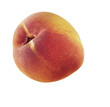 whole paech