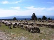 ventoux4