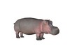 hippo one