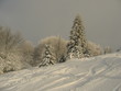 piste de ski