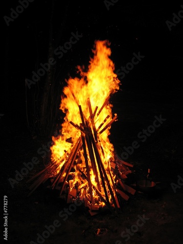 feu de bois