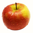 apple red-yellow w / raindrops (path included)