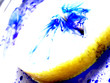 citron bleu