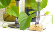 wine etc wine etc