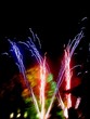 feu d'artifice 010
