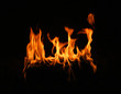 fire log flame