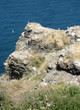 falaise du cap frehel falaise du cap frehel