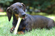 biting bone biting bone