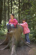 twins playing on a tree stump