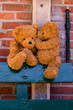 cute teddybears whispering