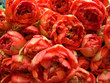 rote tulpen rote tulpen
