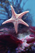 aquarium 7