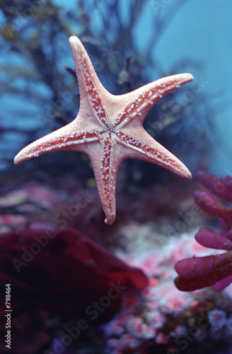 aquarium 7