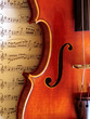 violine
