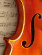 violine detail