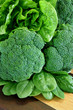 romaine and broccoli romaine and broccoli