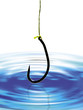 hook
