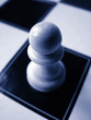 white pawn