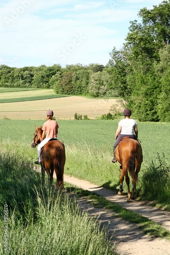equitation