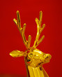 christmas celebrations