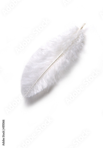 pluma