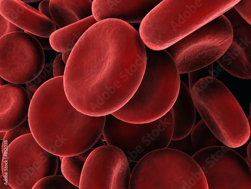 rote blutkörperchen