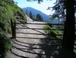 weidetor auf alm im tiroler kaisertal