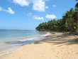 sur une plage tropical