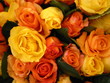 bouquet de roses