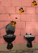 graffiti