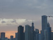 skyline