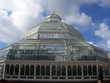 palm house palm house