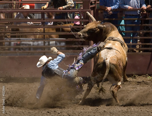 rodeo bull rider