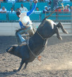 bull throwing rider