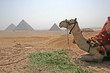 pyramid at lunch break