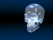crystal skull