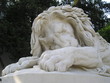 denkmal löwe wien nr.1 denkmal löwe wien nr.1