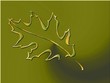 blatt 838477