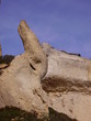 roche lapin roche lapin