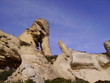 roche roche