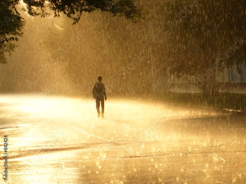 Foto: gold rain gold rain