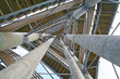 weisstannenturm