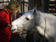 le cheval et l'enfant
