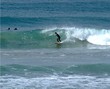surfing safari 4.