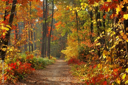 Photo: colors of fall colors of fall