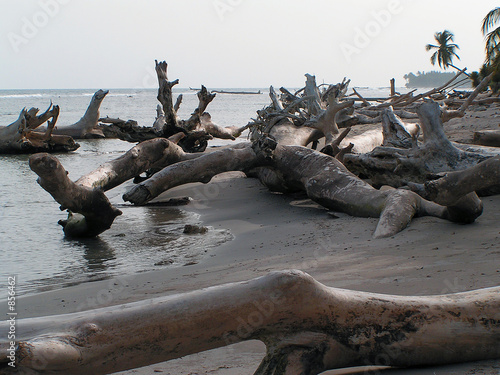 after hurricane after hurricane