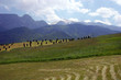 landscape landscape